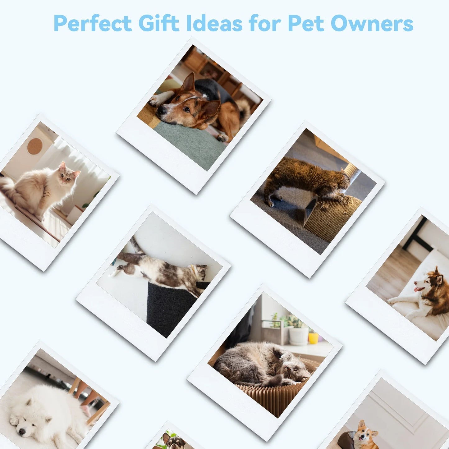 Cat & Dog Grooming Brush – Self-Cleaning Slicker Brush for Shedding, Removes Loose Fur & Tangles, Gentle & Skin-Friendly, Perfect for All Coat Types – Blue