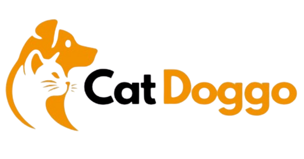 Cat Doggo